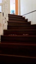 Bedok Avenue (D16), Detached #608362811